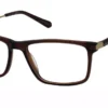 Tony Hawk TH576 3 Crystal Brown
