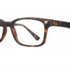 Affordable Designs Alpha - Tortoise
