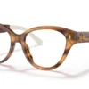 Tory Burch TY2122U 1889 Honey Transparent