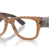Ray-Ban RX0840V 8295 Transparent Brown