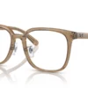 Ray-Ban RX5419D 8269 Transparent Brown