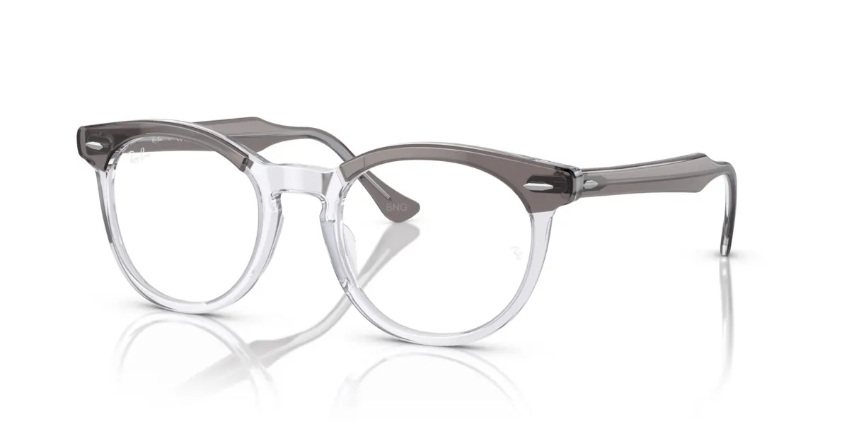 Ray-Ban RX5598 8111 Grey on Transparent