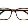 O'Neill ONO 4521 102 - Glos Tortoise - Front