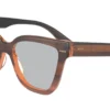 Calvin Klein CK23543 240 - Striped Brown