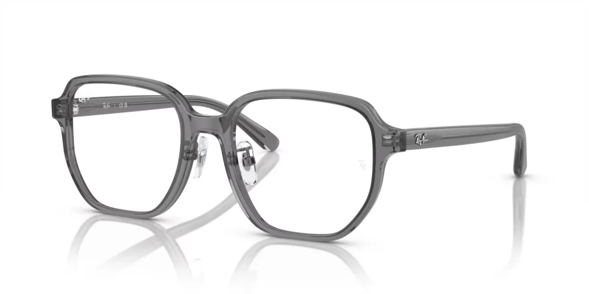 Ray-Ban RX5424D 8268 - Transparent Grey