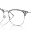 Ray-Ban RX7318D 8326 - Transparent Grey on Silver