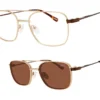 AirMag A6264 C3 - Matte Gold / Brown Demi