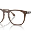 Ray-Ban RX2210V 8365 - Brown on Transparent Light Brown