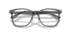 Ray-Ban RX5425D