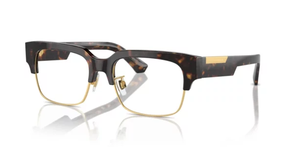 Dolce & Gabbana DG3388 502 - Havana