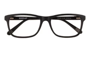 CAT CTO 3019