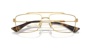 Dolce & Gabbana DG1354
