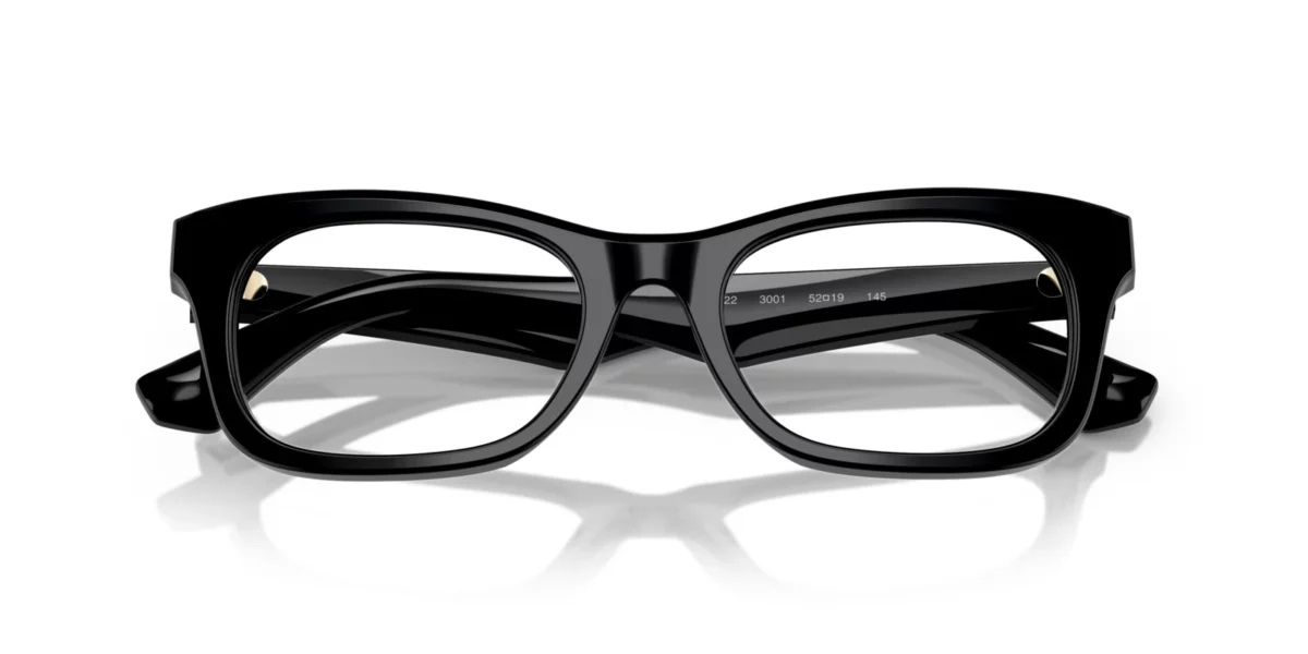 Burberry BE2422 3001 - Black