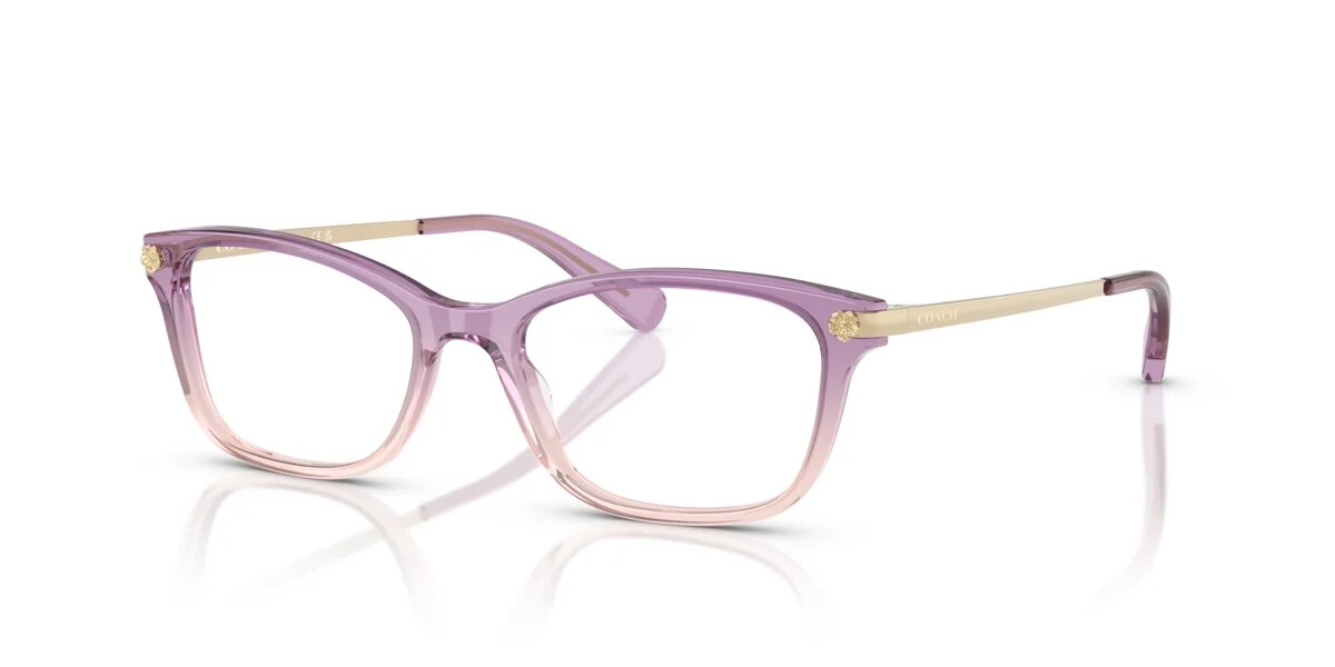 Coach Hc6142 2 Coach HC6142 5813 - Amethyst / Pink Gradient
