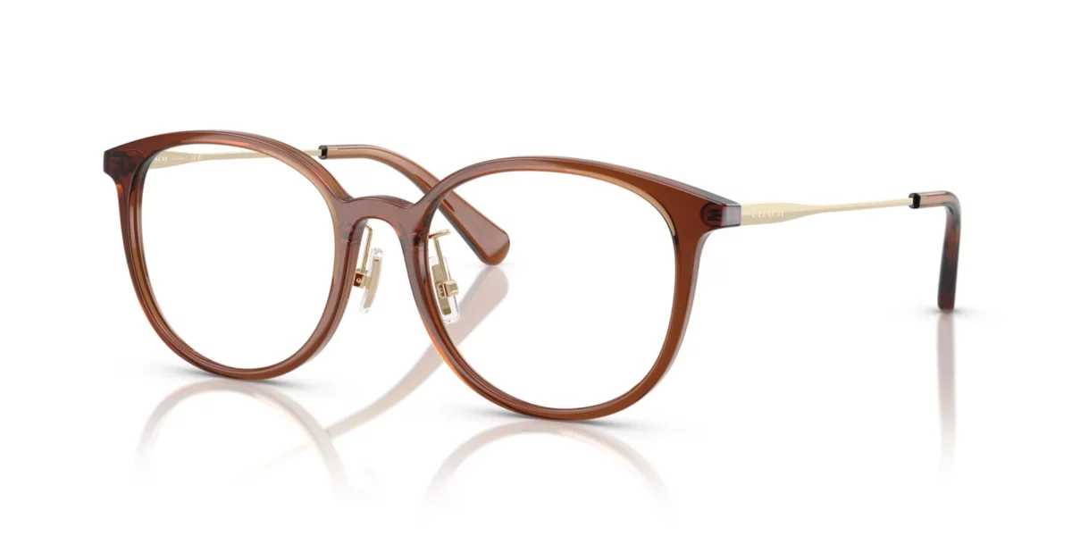Coach HC6160D 5847 - Transparent Brown