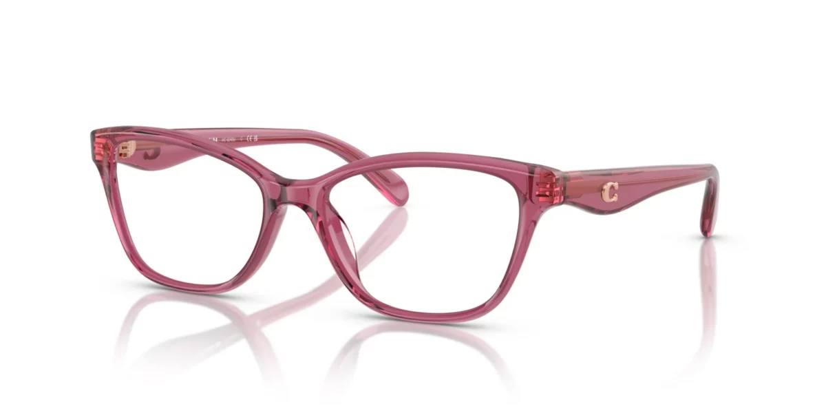 Coach HC6243U 5824 - Transparent Burgundy