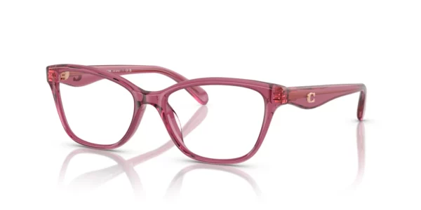 Coach HC6243U 5824 - Transparent Burgundy