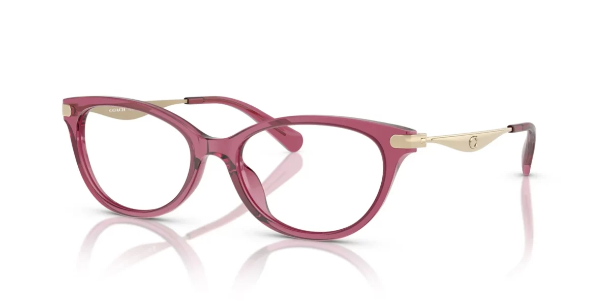 Coach HC6245U 5824 - Transparent Burgundy