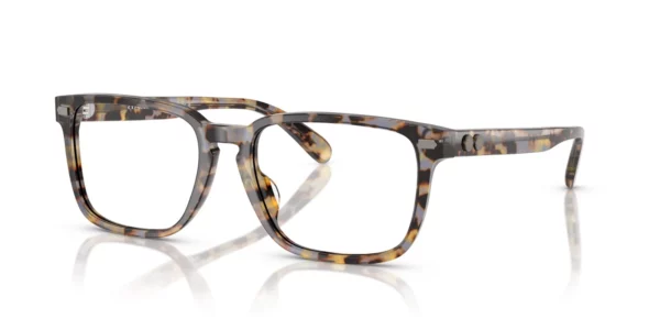 Coach HC6252U 5851 - Winter Tortoise