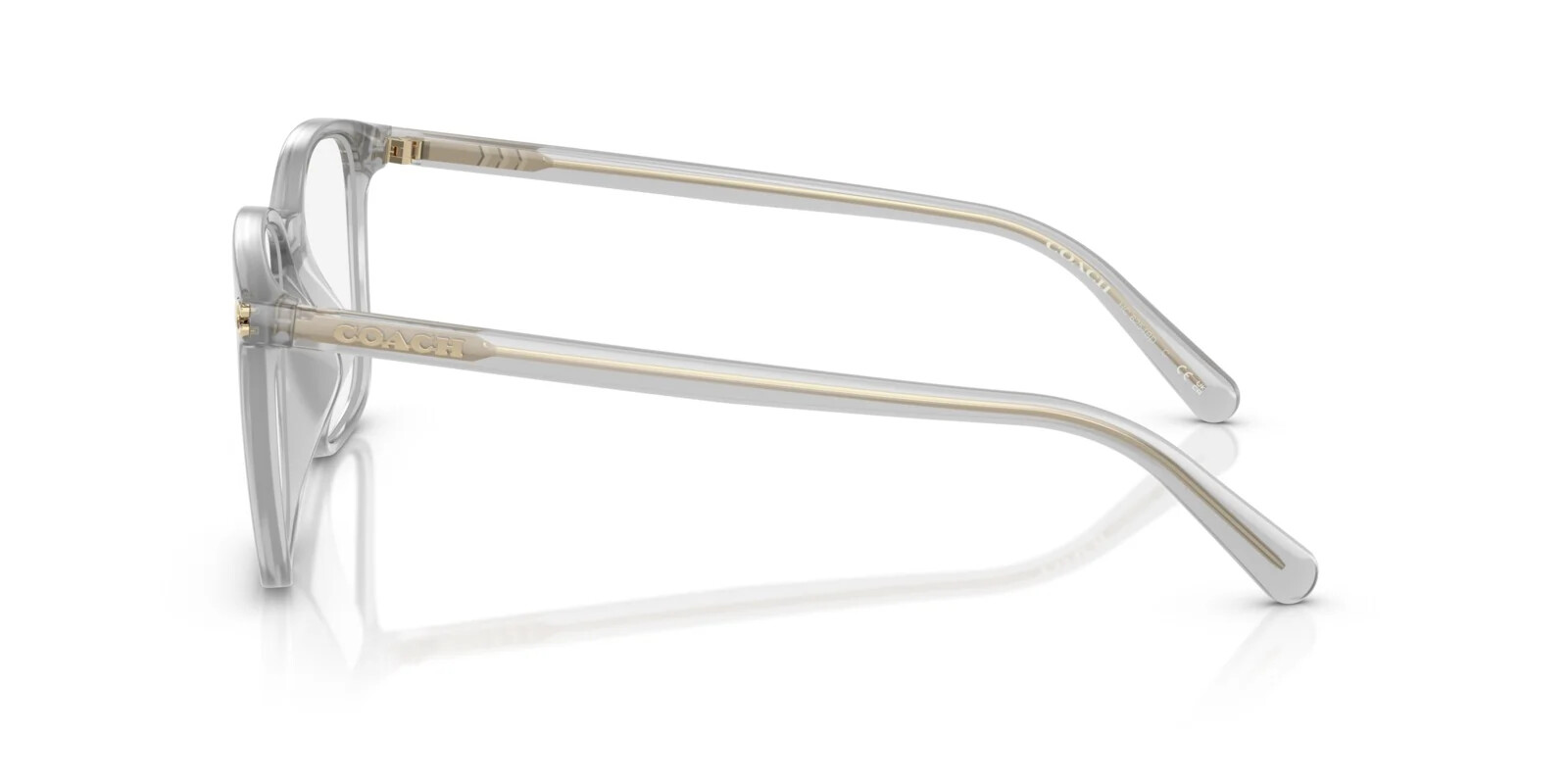 Coach Hc6254Bd 3 Coach HC6254BD 5614 - Transparent Dove