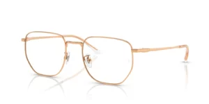 Ray-Ban RX8776D Eyeglasses Genuine | BestNewGlasses.com