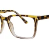 Star ST6251 C3 - Brown Demi / Clear