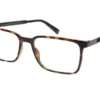 IZOD 2126 - Tortoise