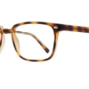 Affordable Designs Dwight - Tortoise