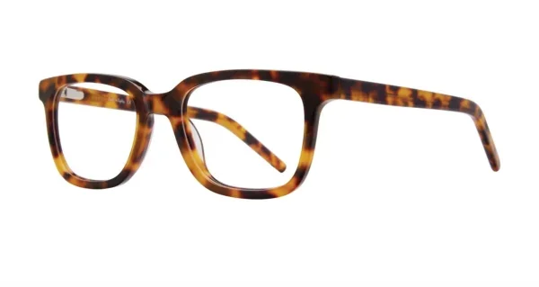Eight to Eighty Van - Tortoise
