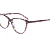 LaVie 2145 - Plum / Tortoise