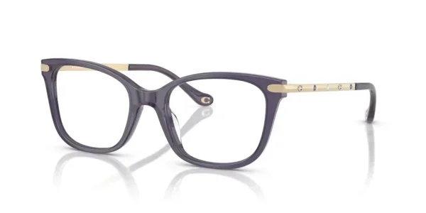 Coach HC6261BU 5522 - Milky Eggplant