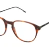 Moleskine MO1252 31 - Matte Tortoise