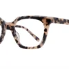 Eight to Eighty Danica - Tokyo Tortoise