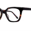 Eight to Eighty Danica - Tortoise
