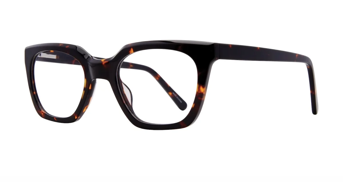 Eight to Eighty Danica - Tortoise