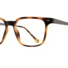 Eyera Eyewear Triple Play - Tortoise