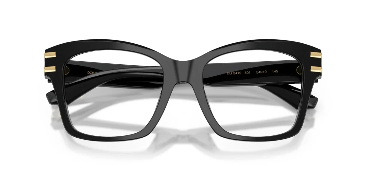Dolce & Gabbana DG3419 501 - Black