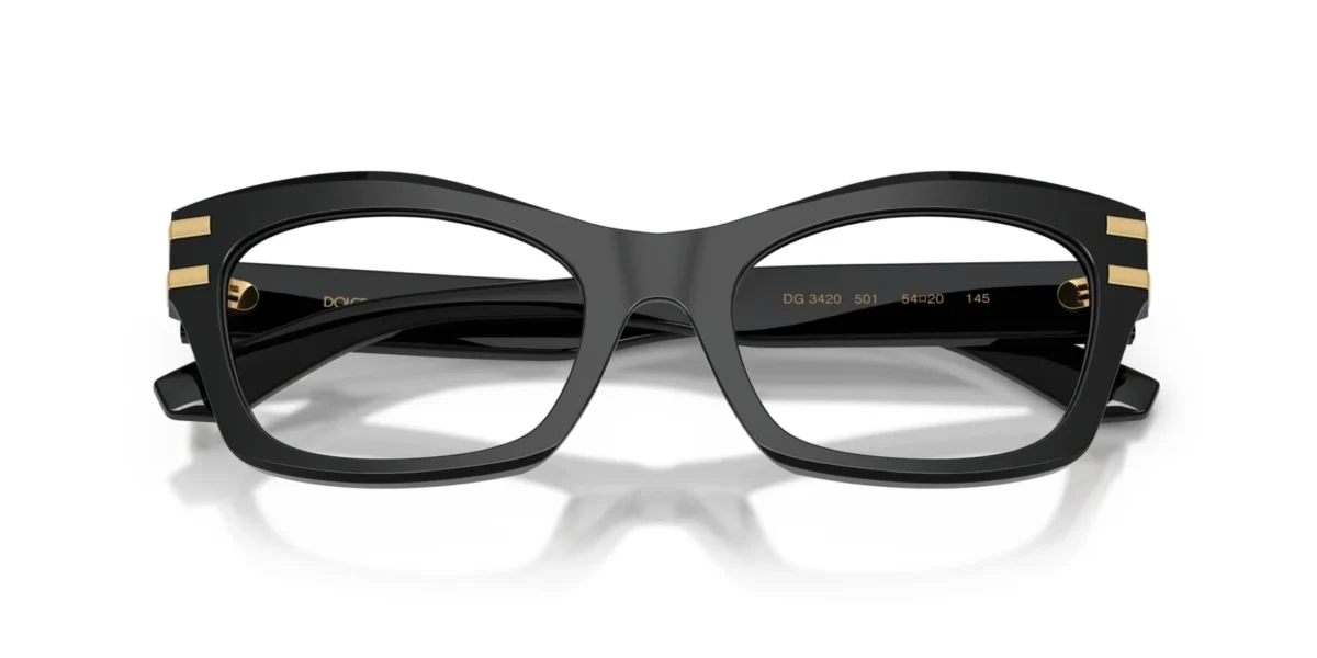 Dolce & Gabbana DG3420 501 - Black