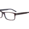 Wide Guyz Rivera - Tortoise / Blue