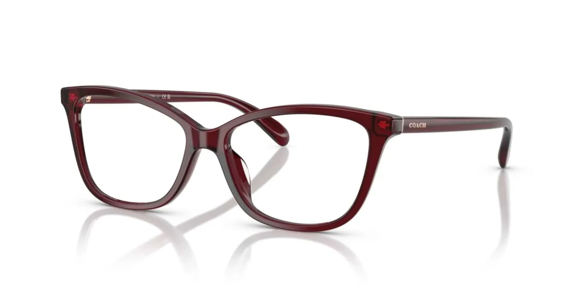 Coach HC6206U 5393 - Milky Burgundy