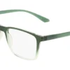Calvin Klein CK19573N 300 - Transparent Gradient Green