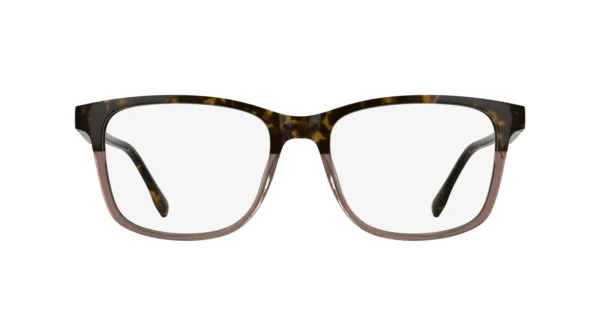 Lacoste L4002 219 - Havana / Transparent Cognac