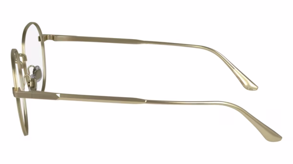 Calvin Klein CK24101N 720 - Matte Gold