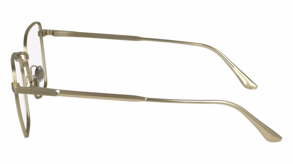 Calvin Klein CK24102N 720 - Matte Gold