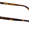 Calvin Klein CK26519 240 - Havana