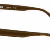 Lacoste L4012 200 - Transparent Brown