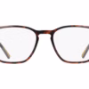 Nautica N8200 206 - Dark Tortoise