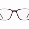 Nautica N8203 206 - Dark Tortoise