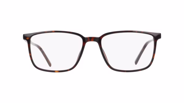 Nautica N8203 206 - Dark Tortoise