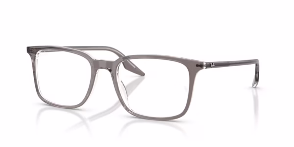 Ray-Ban RX5421 8111 - Transparent Grey